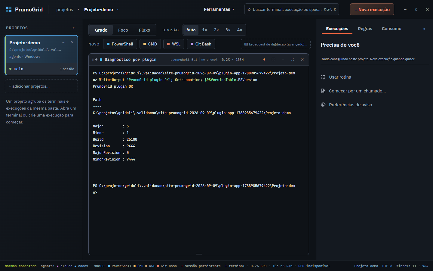 O novo PowerShell com a saída do diagnóstico.